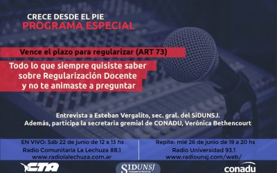 CRECE DESDE EL PIE: PROGRAMA ESPECIAL ART. 73