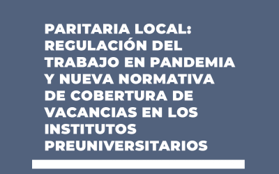 PARITARIA LOCAL: REGULACIÓN DEL TRABAJO EN PANDEMIA Y NUEVA NORMATIVA DE COBERTURA DE VACANCIAS EN LOS INSTITUTOS PREUNIVERSITARIOS