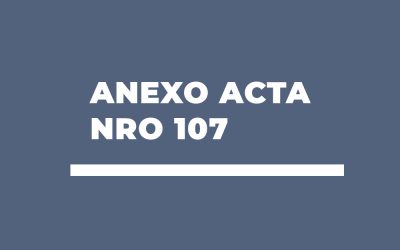 Anexo Acta nro 107