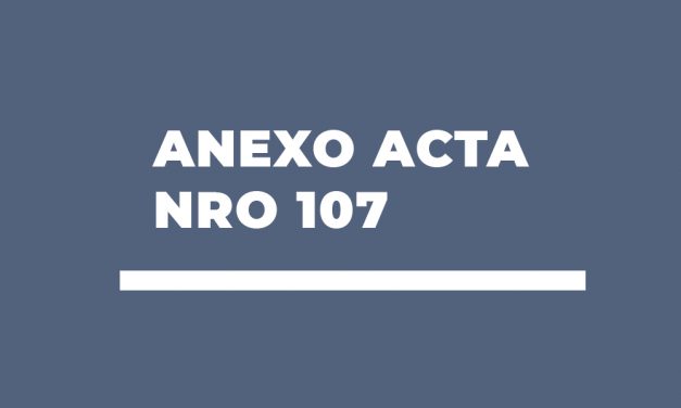 Anexo Acta nro 107