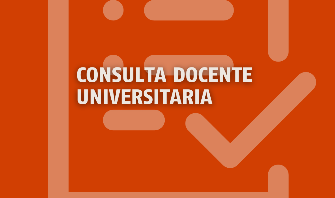 CONSULTA DOCENTE UNIVERSITARIA SOBRE EL PLAN DE ACCIÓN 2024