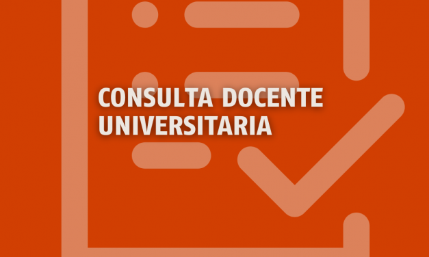 CONSULTA DOCENTE UNIVERSITARIA SOBRE EL PLAN DE ACCIÓN 2024