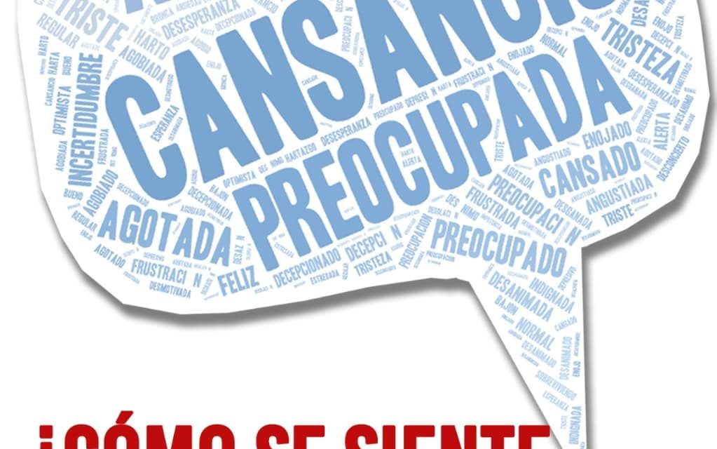 Primer relevamiento federal: resultados