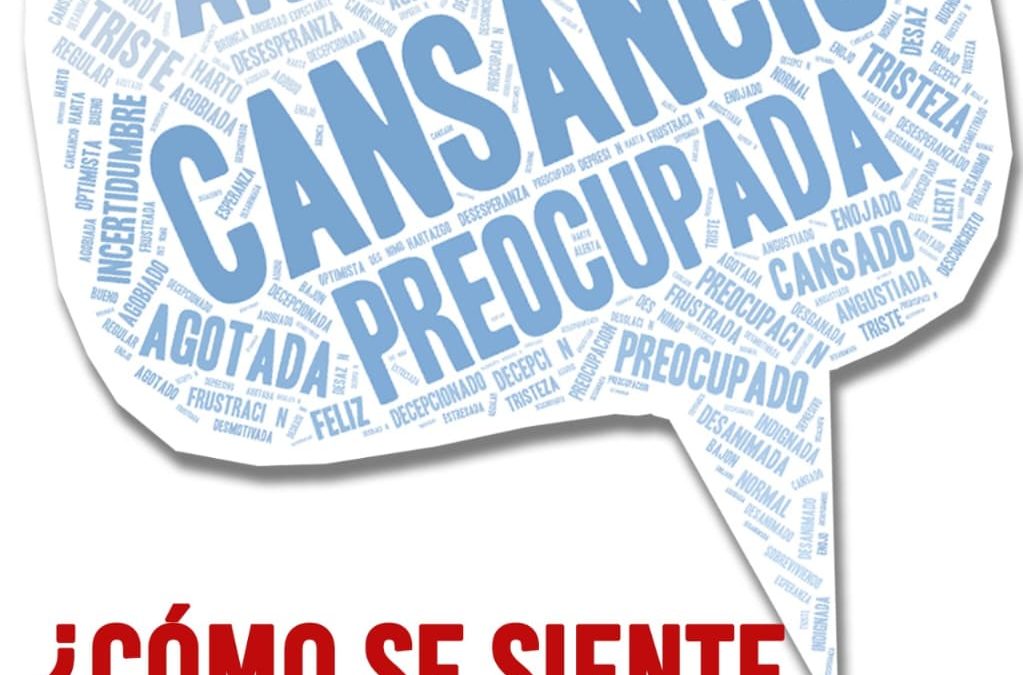 Primer relevamiento federal: resultados