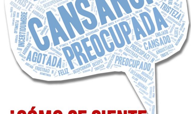 Primer relevamiento federal: resultados