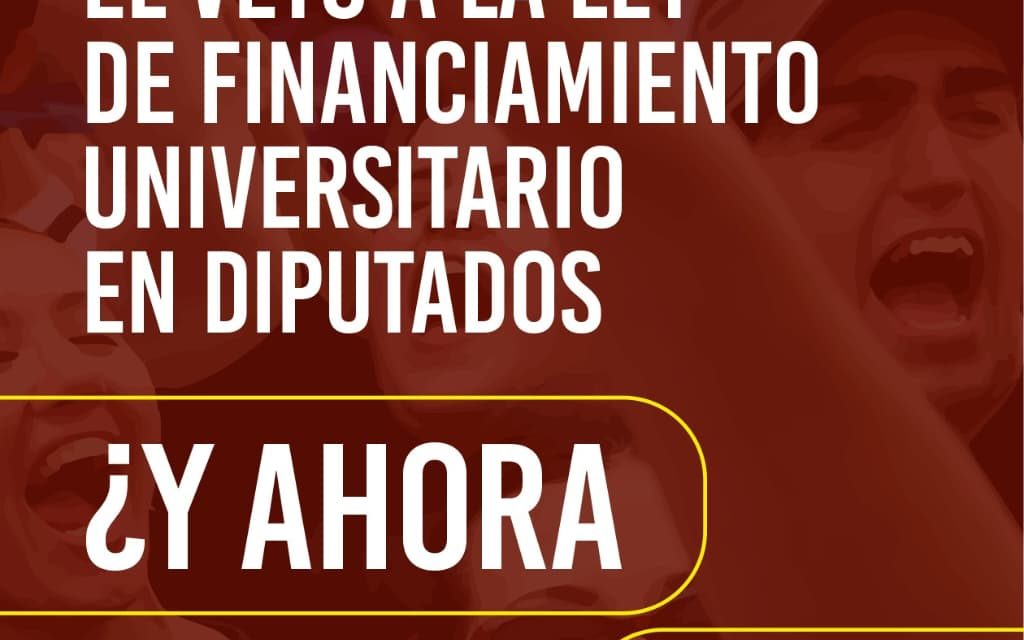 Derrotamos el veto a la Ley de financiamiento universitario en Diputados: Y ahora qué?