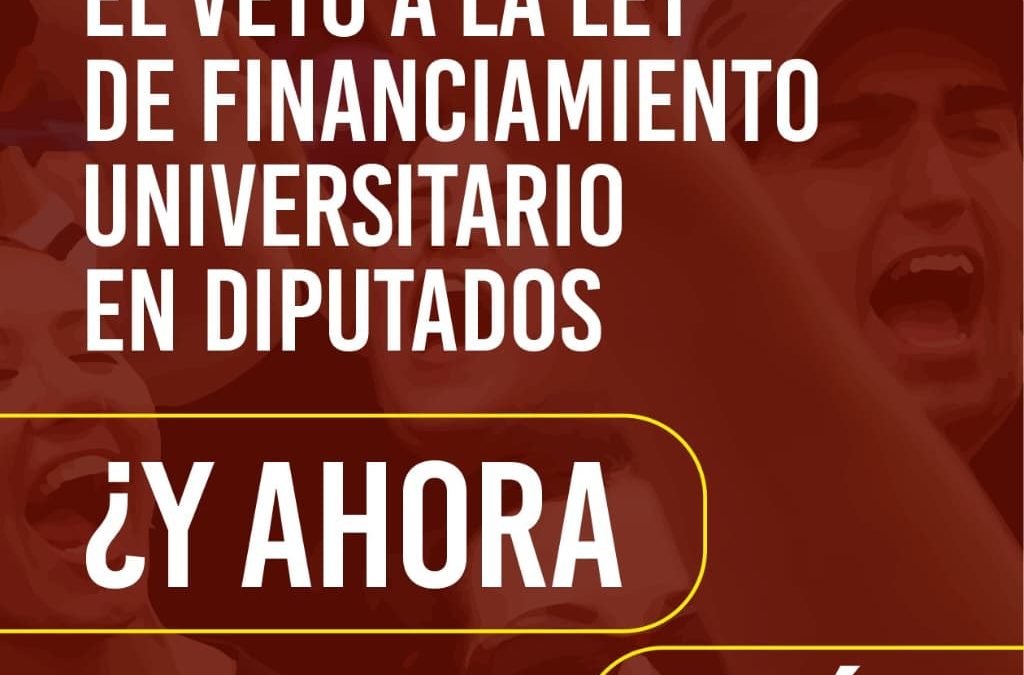 Derrotamos el veto a la Ley de financiamiento universitario en Diputados: Y ahora qué?