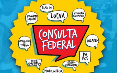 CONSULTA FEDERAL